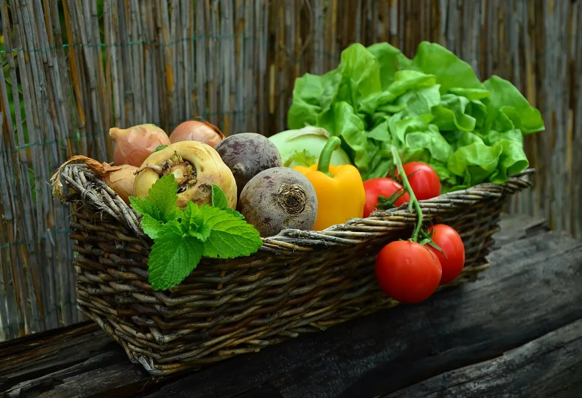Container Gardening for Small UK Balconies: Grow Your Own Salad Leaves